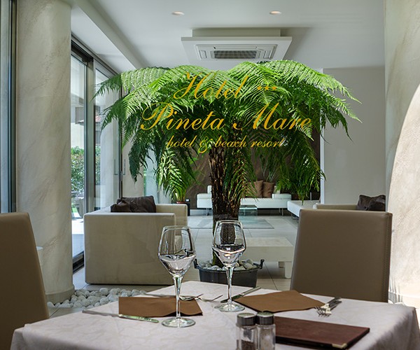 Foto 9 | Hotel Pineta Mare