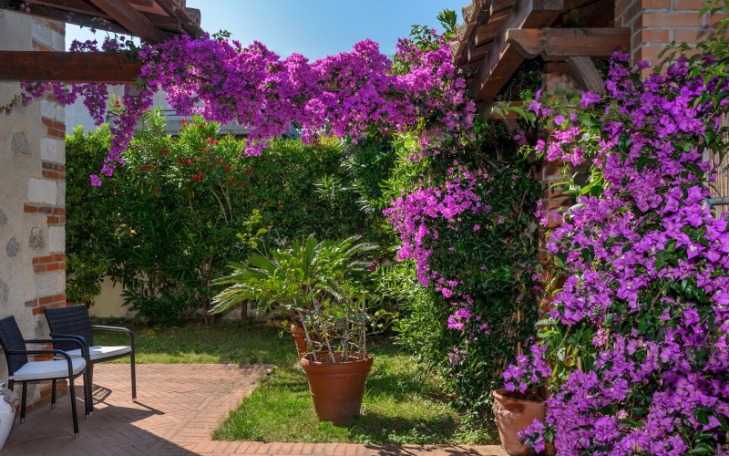 Foto 2 | Villa il Fortino