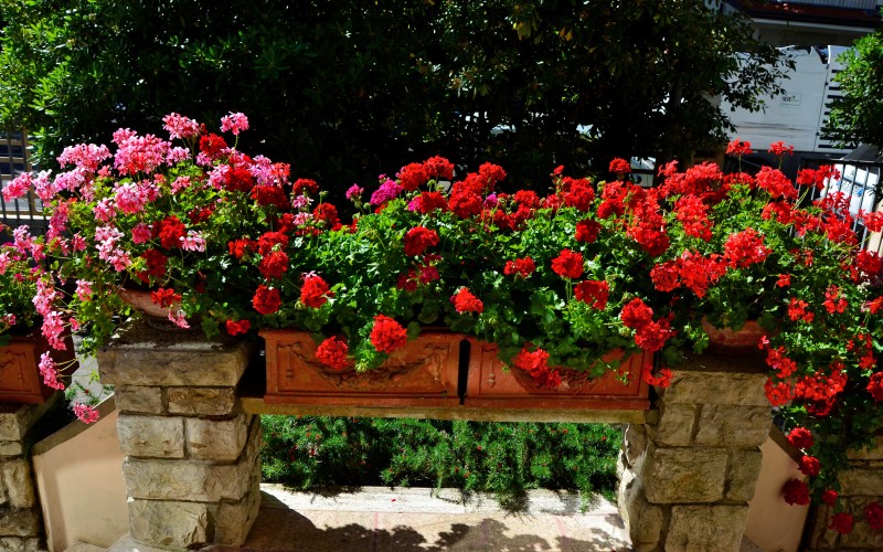 Foto 8 | Hotel Puccinelli